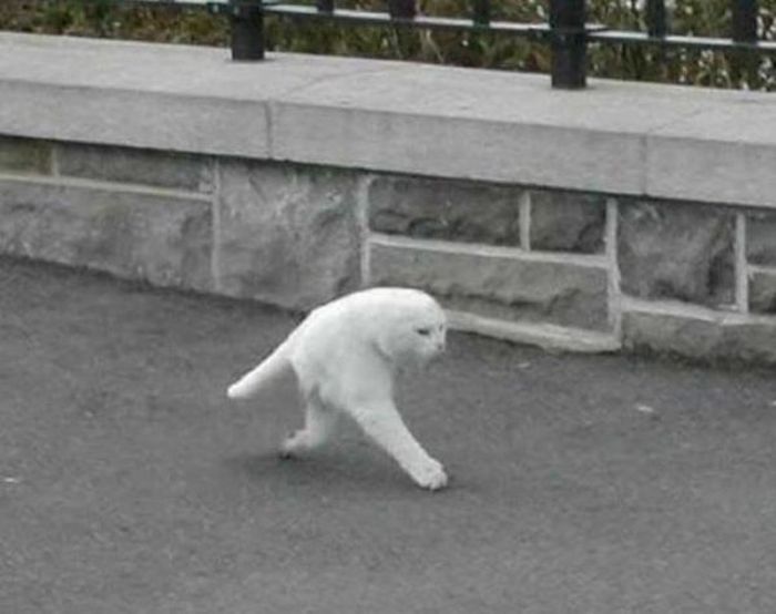 Failed Panoramic Photos (25 pics)