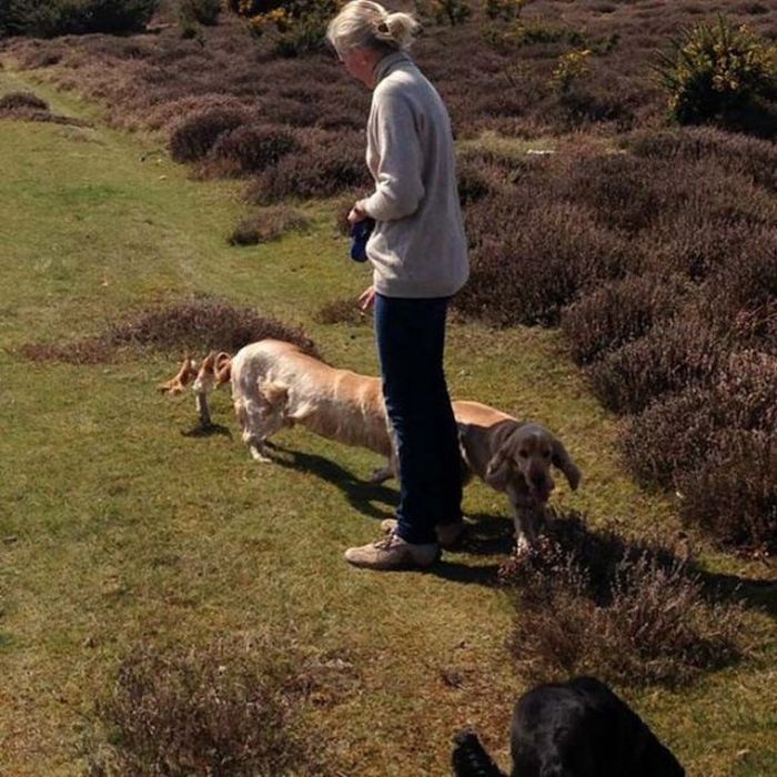 Failed Panoramic Photos (25 pics)