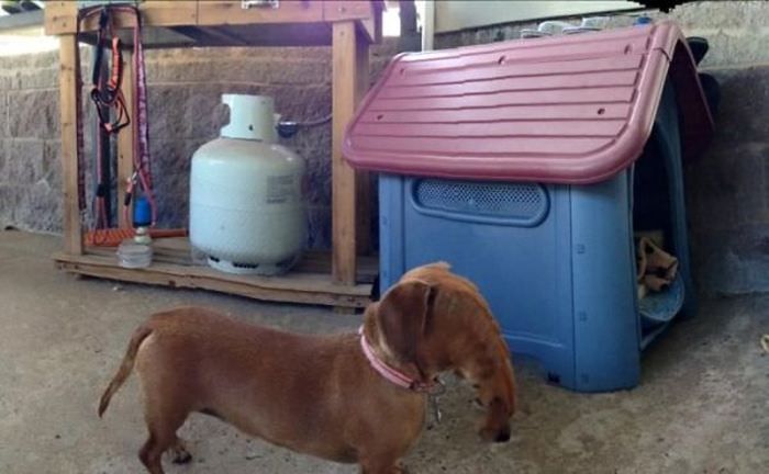 Failed Panoramic Photos (25 pics)