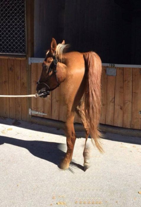 Failed Panoramic Photos (25 pics)