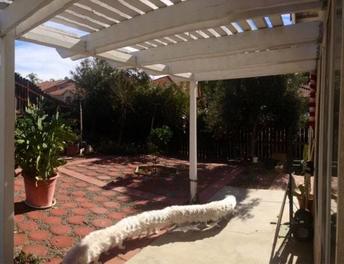 Failed Panoramic Photos (25 pics)