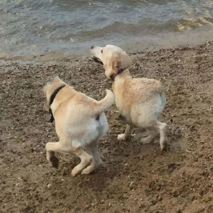Failed Panoramic Photos (25 pics)