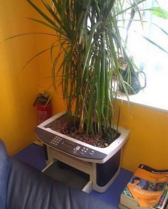 What Is Going On Here? (25 pics)