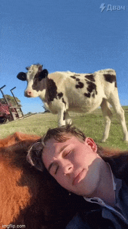 Acid GIFs, June 22 (25 gifs)