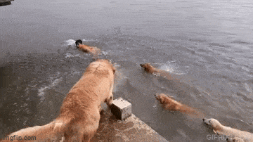 Acid GIFs, June 22 (25 gifs)