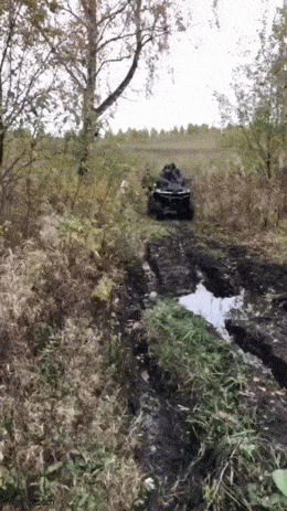 Acid GIFs, June 22 (25 gifs)
