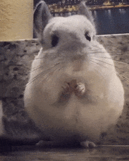 Acid GIFs, June 22 (25 gifs)