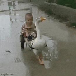 Acid GIFs, June 22 (25 gifs)