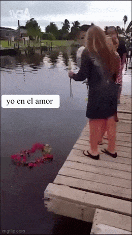 Acid GIFs, June 22 (25 gifs)