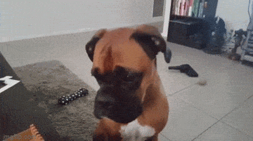 Acid GIFs, June 22 (25 gifs)