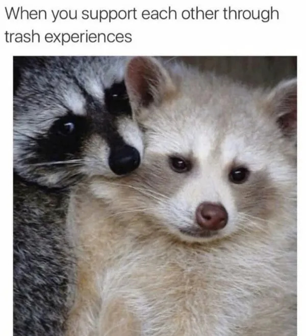 Random Memes (23 pics)