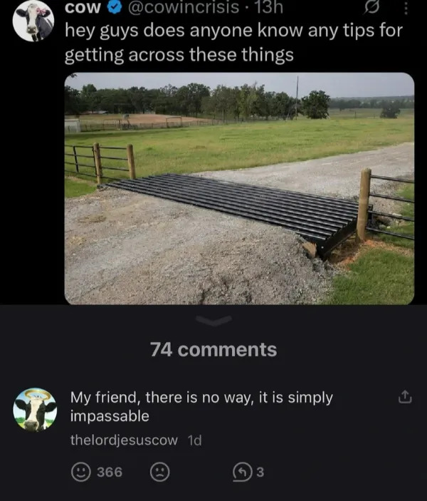 Random Memes (23 pics)