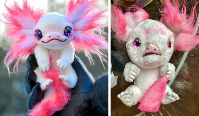 Failed Purchases (19 pics)