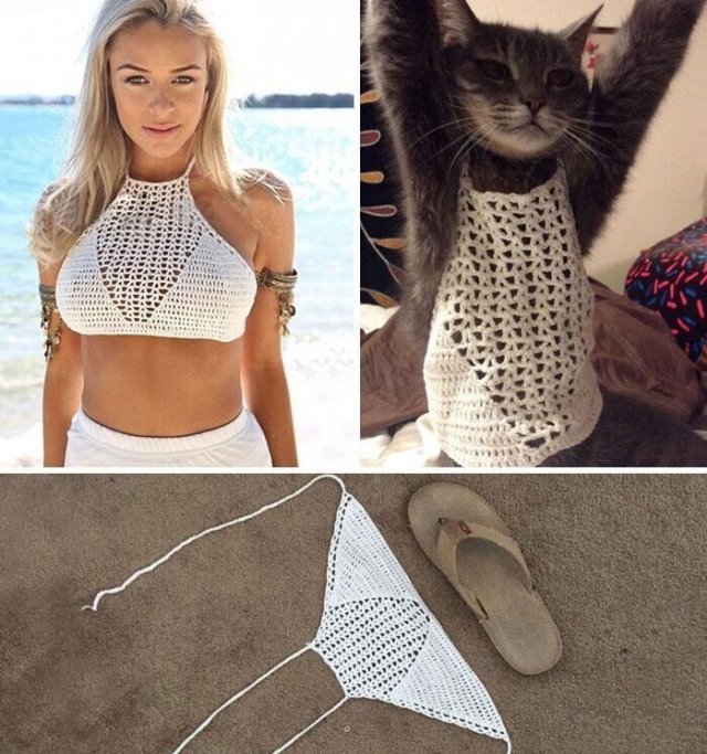 Failed Purchases (19 pics)