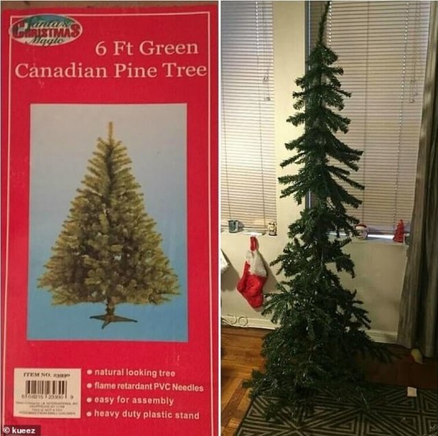 Failed Purchases (19 pics)