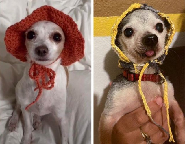 Failed Purchases (19 pics)