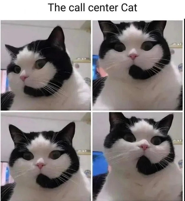 Funny Memes (21 pics)