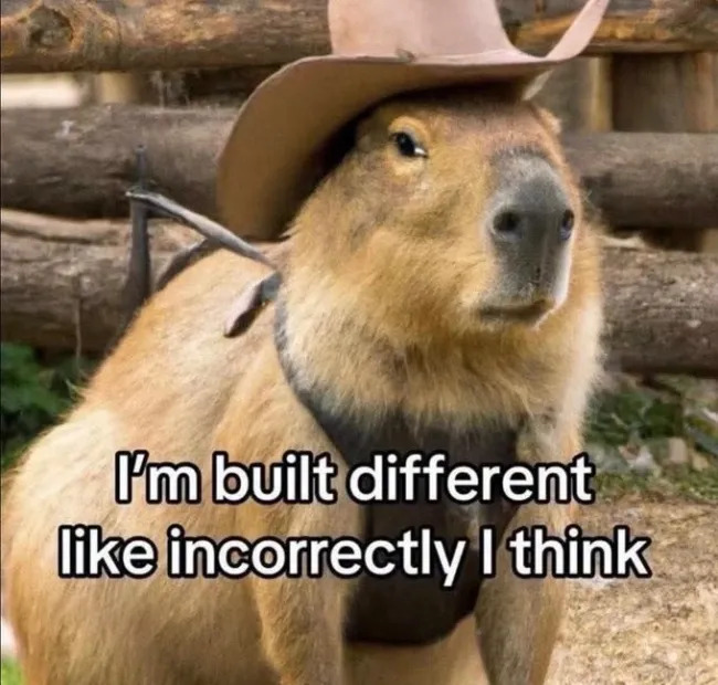 Funny Memes (21 pics)