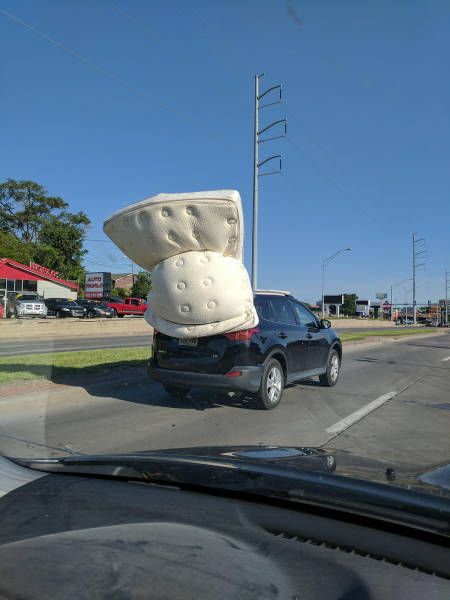 Daily Pictures. Part 1 (74 pics)