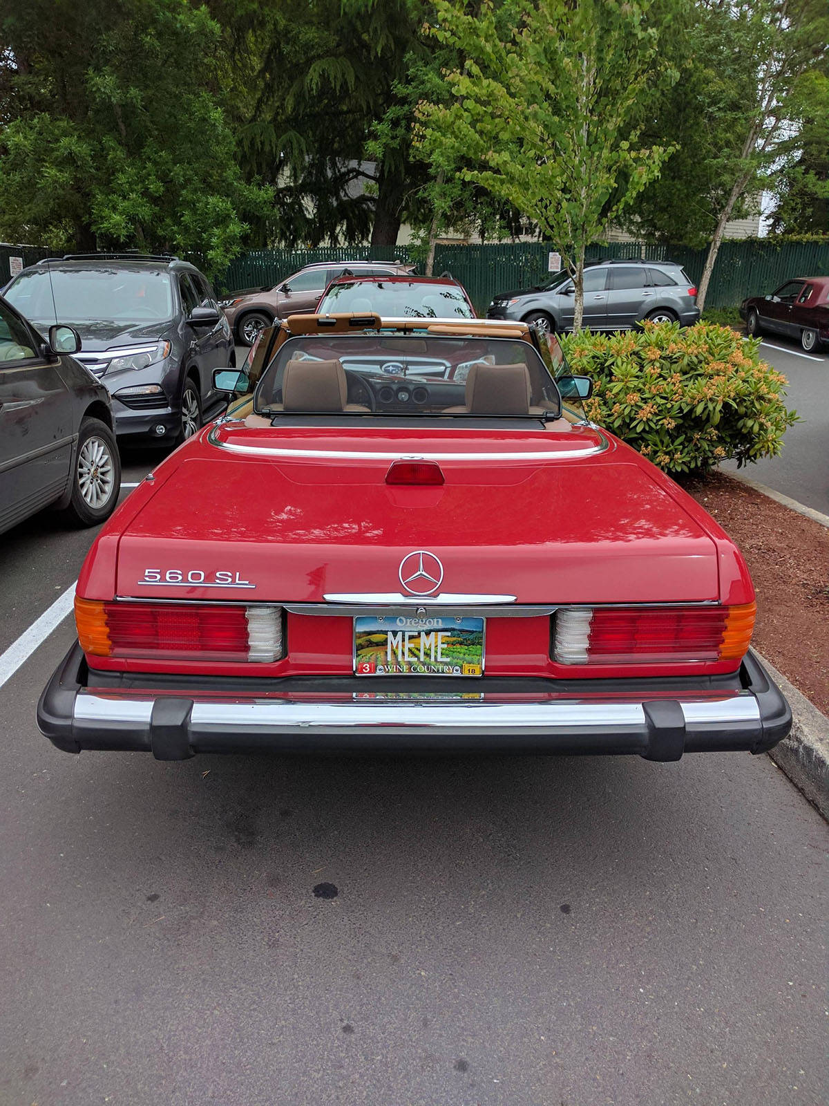 Daily Pictures. Part 1 (74 pics)