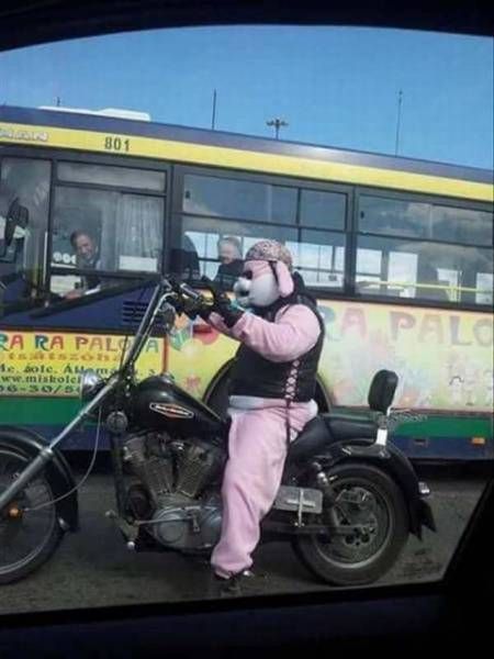 Daily Pictures. Part 1 (74 pics)