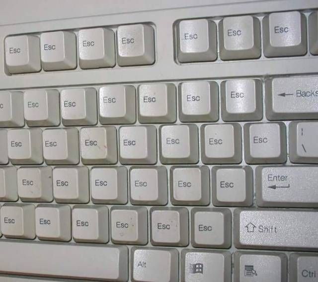Daily Pictures. Part 1 (74 pics)
