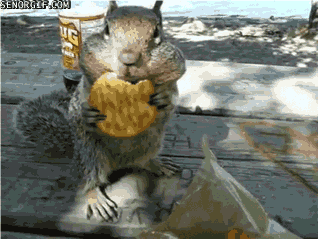 Acid GIFs, June 23 (25 gifs)