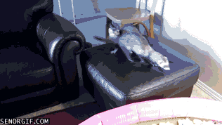 Acid GIFs, June 23 (25 gifs)