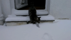 Acid GIFs, June 23 (25 gifs)