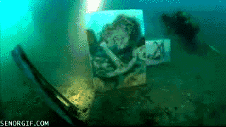 Acid GIFs, June 23 (25 gifs)