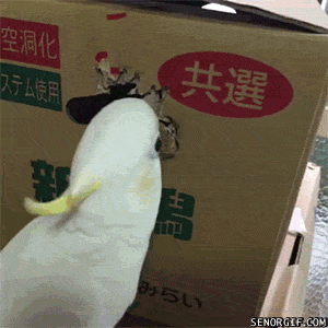 Acid GIFs, June 23 (25 gifs)