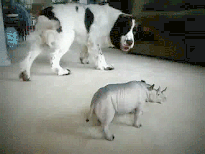 Acid GIFs, June 23 (25 gifs)