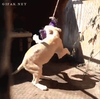 Acid GIFs, June 23 (25 gifs)
