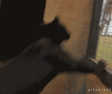Acid GIFs, June 23 (25 gifs)