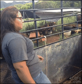 Acid GIFs, June 23 (25 gifs)