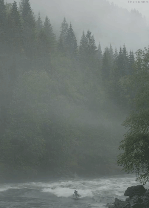 Acid GIFs, June 23 (25 gifs)