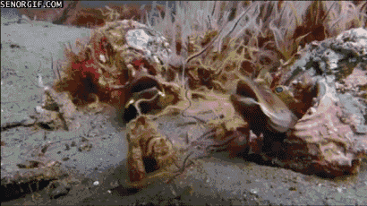 Acid GIFs, June 23 (25 gifs)