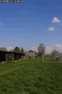 Acid GIFs, June 23 (25 gifs)
