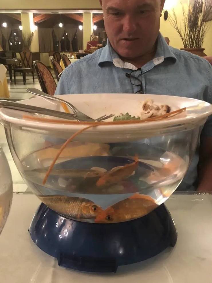 Strange Food Serving (25 pics) Strange Food Serving (25 pics)