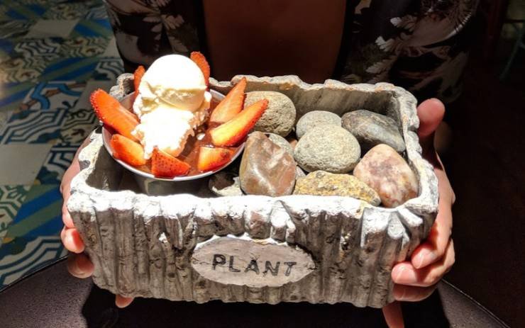 Strange Food Serving (25 pics) Strange Food Serving (25 pics)