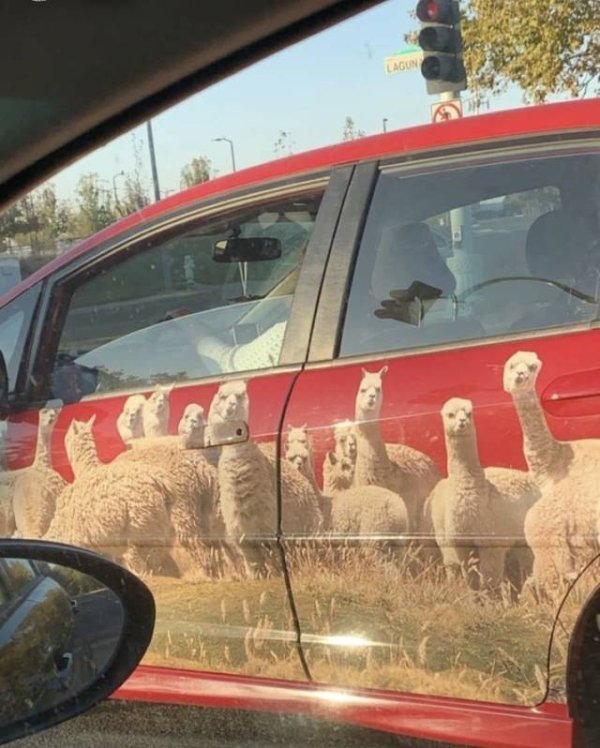 Crazy Vehicles (25 pics) Crazy Vehicles (25 pics)