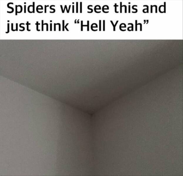 Daily Pictures. Part 2 (70 pics)
