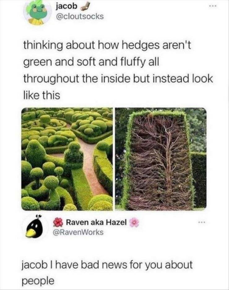Daily Pictures. Part 2 (70 pics)