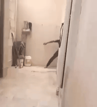 Acid GIFs, June 24 (25 gifs) Acid GIFs, June 24 (25 gifs)
