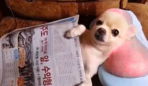 Acid GIFs, June 24 (25 gifs) Acid GIFs, June 24 (25 gifs)