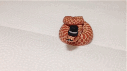 Acid GIFs, June 24 (25 gifs) Acid GIFs, June 24 (25 gifs)
