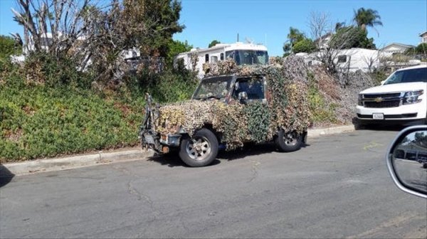 Crazy Cars (25 pics)