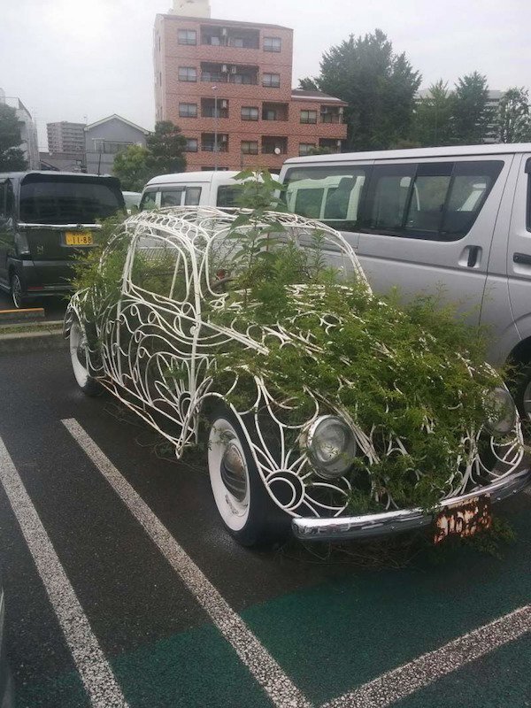 Crazy Cars (25 pics)