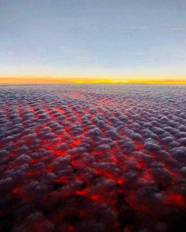 Photos For Perfectionists (23 pics)
