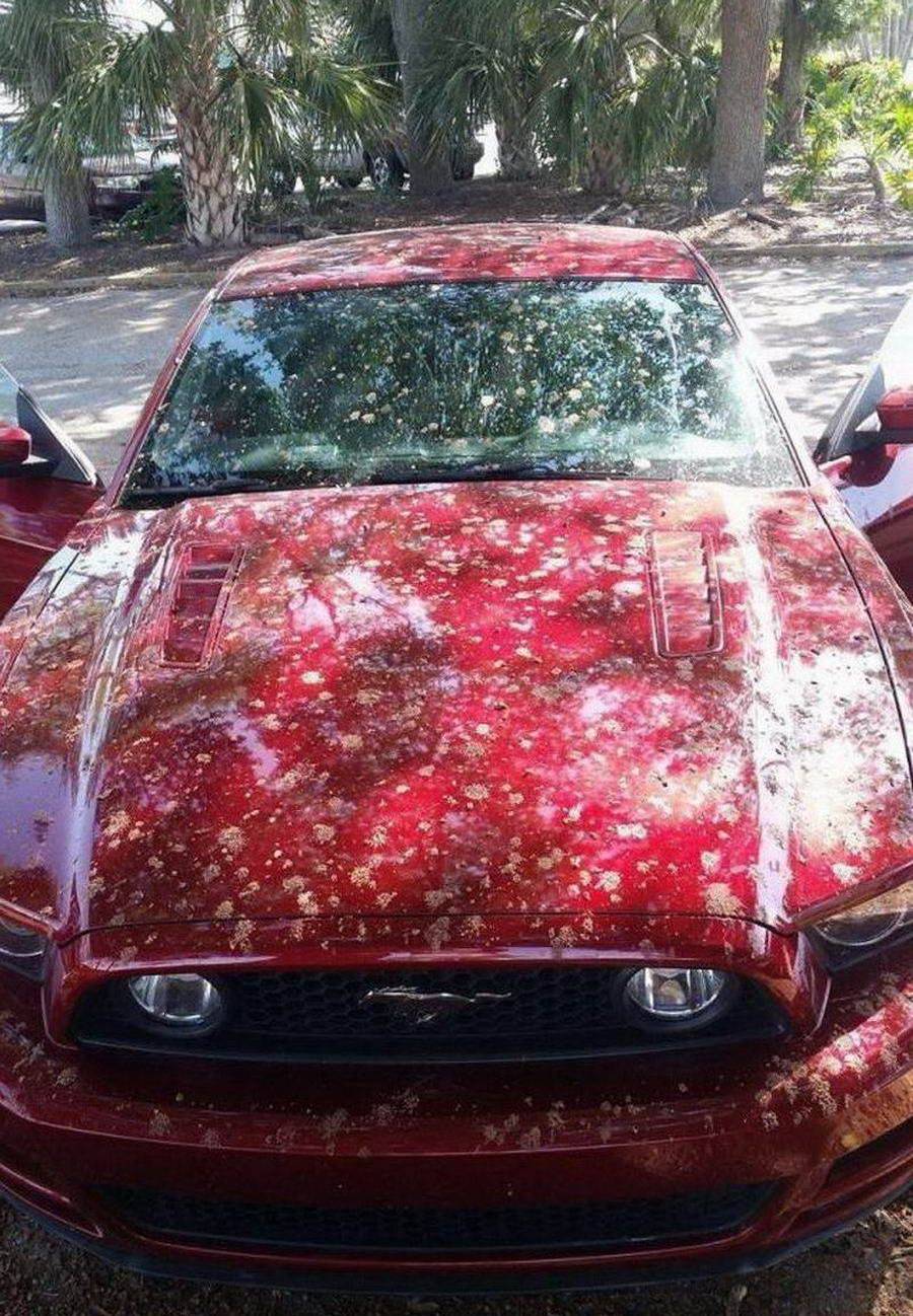Bad Days Happen (23 pics)